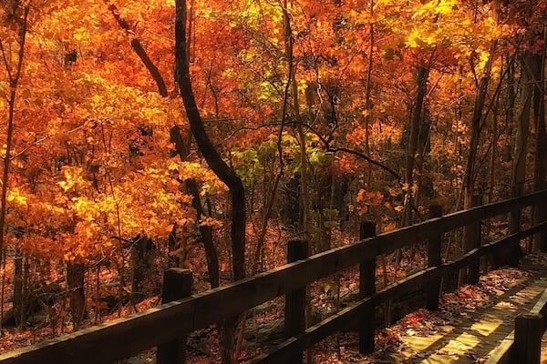 Nice walking trails at the museum, great info along the way about the geology and more. Finally seeing some fall colors.