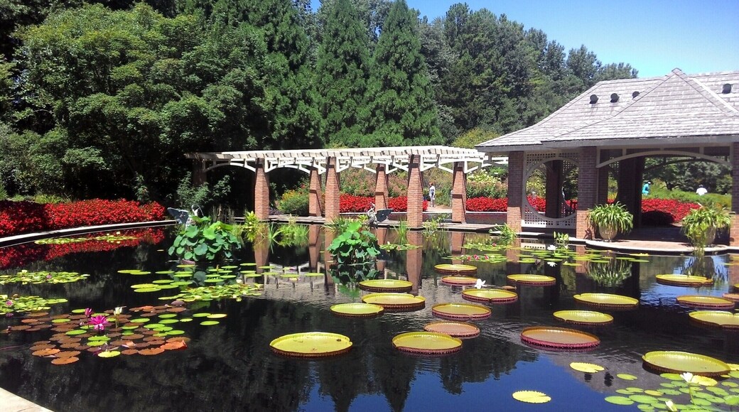 The beautiful Huntsville Botanical Garden is a great place to visit and good for slow sown in a sunny day.