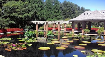 The beautiful Huntsville Botanical Garden is a great place to visit and good for slow sown in a sunny day.