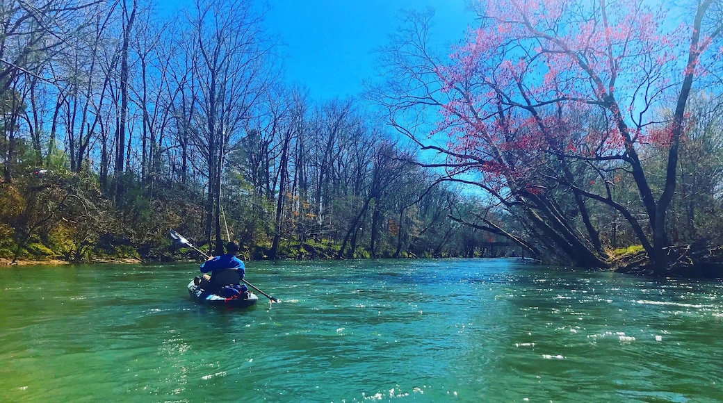 Eeeek! Y’all know what time it isss!!! #YakTime #YakLife #DontLeaveHomeWithoutIt 🥰