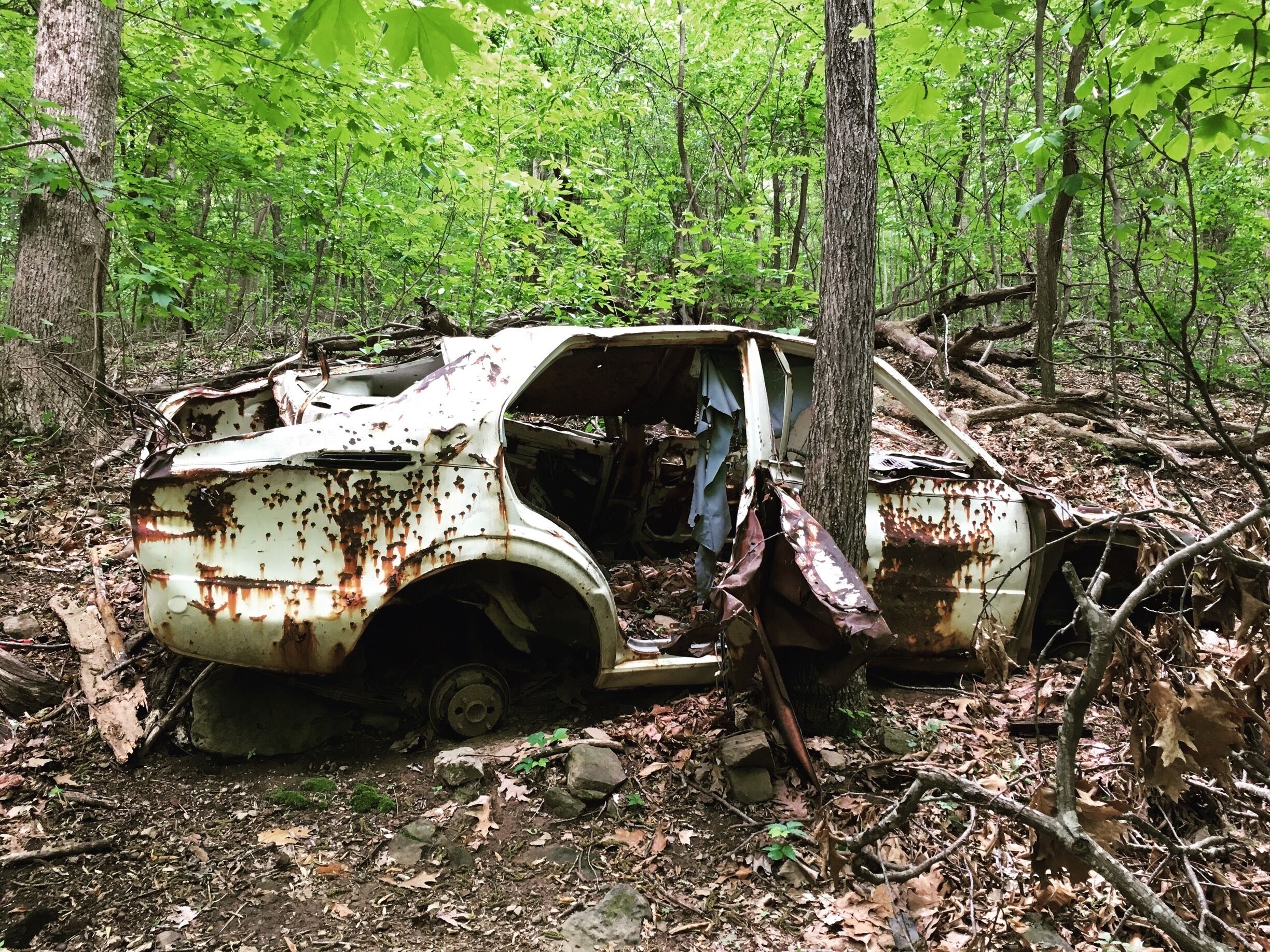 This was a solid mile down the trail.  How did it get there?  Who is the owner? 
#takeahike