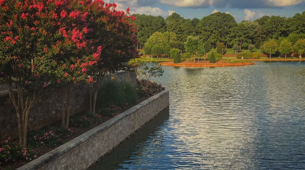 On the bridge, looking into the water