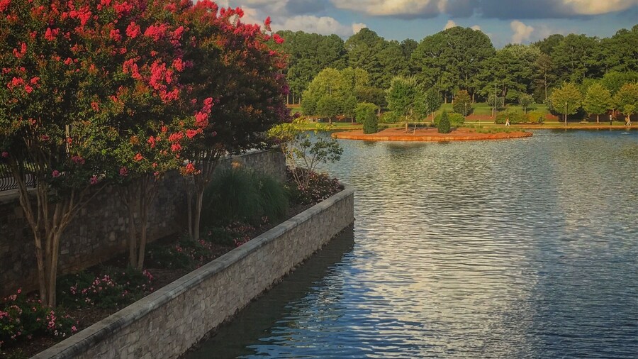 On the bridge, looking into the water