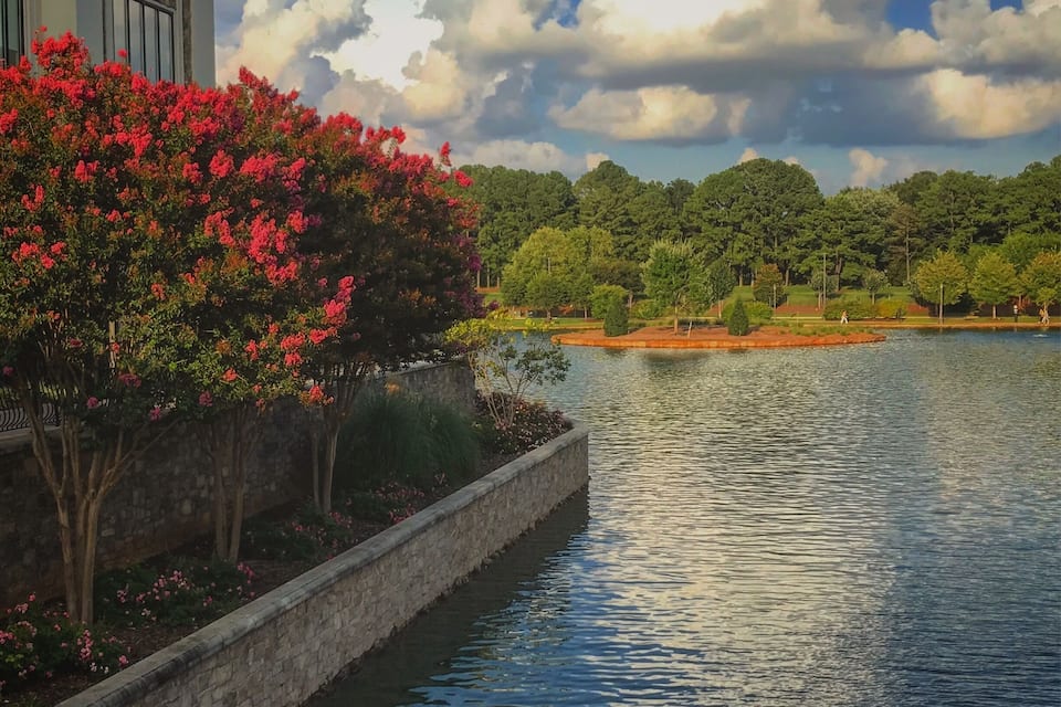Un lago tranquillo con un muro di pietra e fiori rosa in fiore sulla sinistra, circondato da alberi verdi rigogliosi e un cielo sereno.