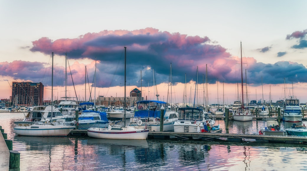 BALTIMORE, USA Founded in 1729, Baltimore is the second largest seaport in the Mid-Atlantic. With hundreds of identified districts, city has been dubbed "a city of neighborhoods".