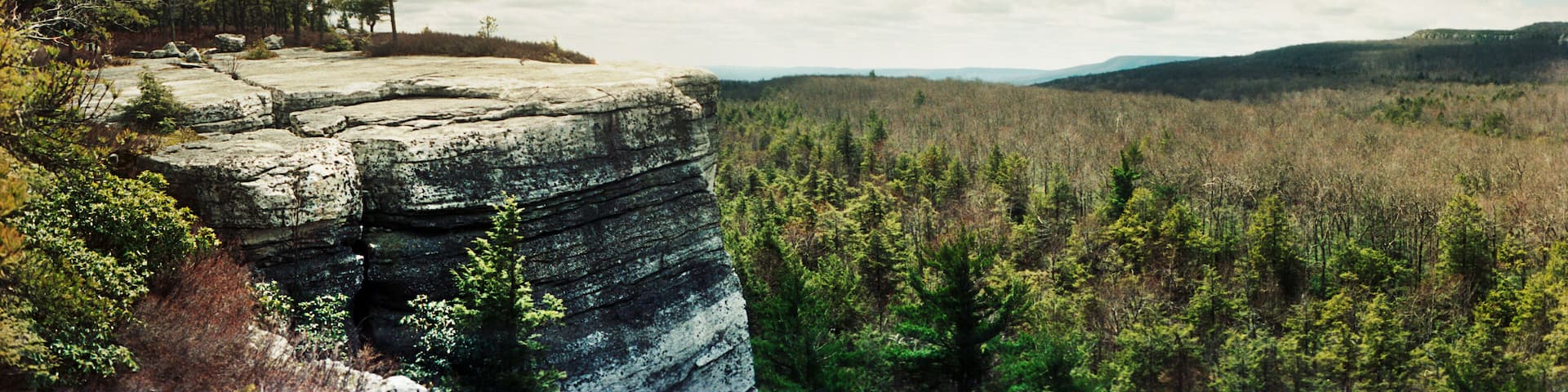A rocky cliff with sparse trees, a forested valley, and distant hills under a partly cloudy sky.