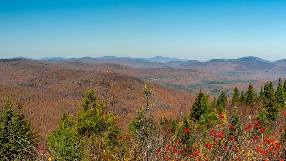 Adirondacks autumn colours from top of Hadlen Mountain, New York