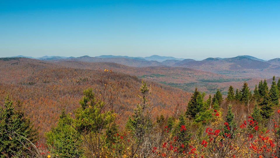 A mountainous landscape with autumn foliage and evergreen trees.