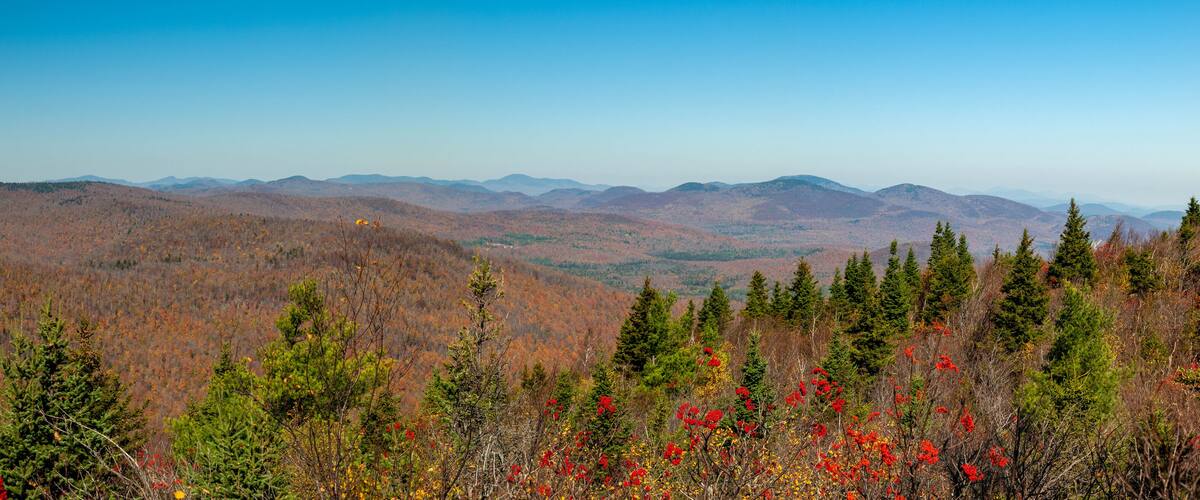 Adirondacks autumn colours from top of Hadlen Mountain, New York