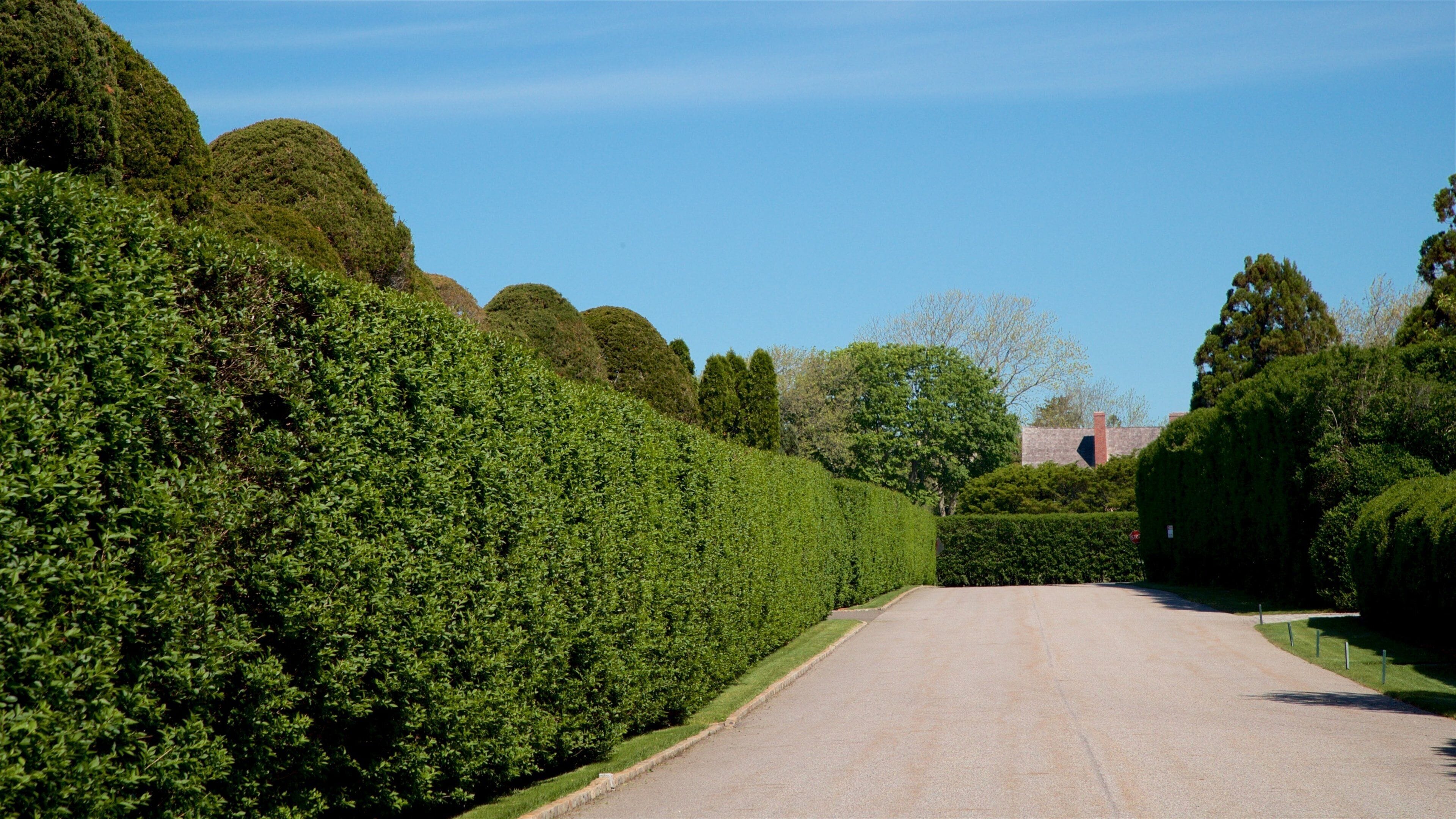 East Hampton ofreciendo un parque
