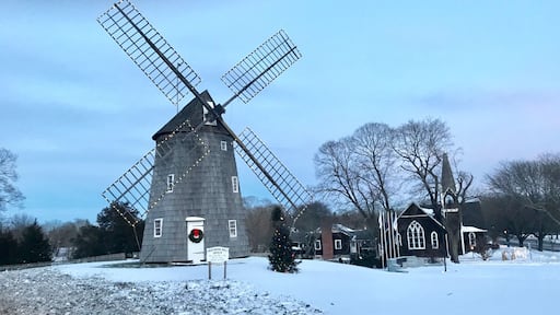 A view of our Quaint village of East Hampton. Known as the playground for celebrities but in reality it’s a fishing farming town. Best kept secret is off season Beauty