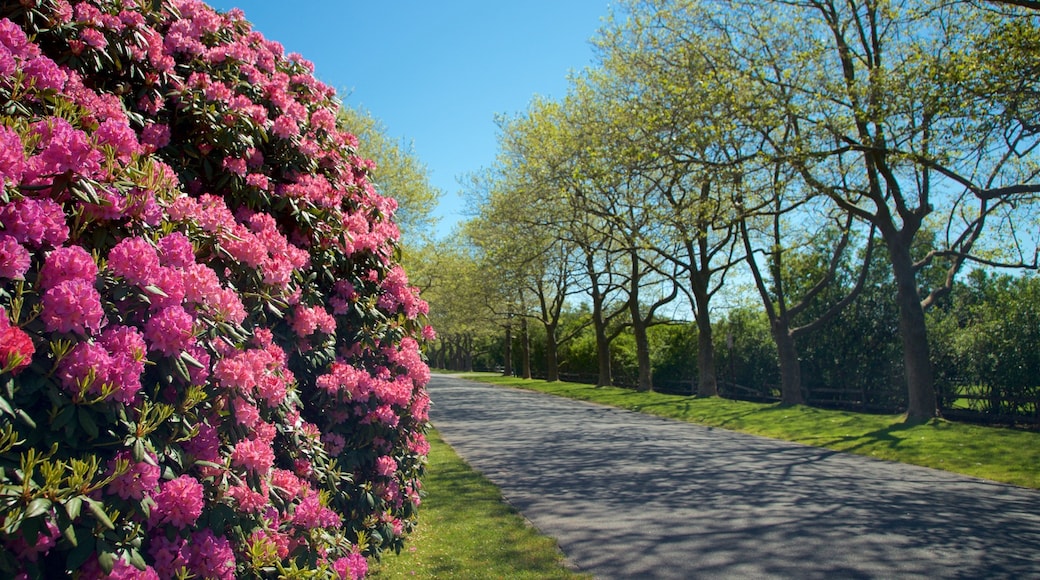 East Hampton johon kuuluu puutarha ja kukat