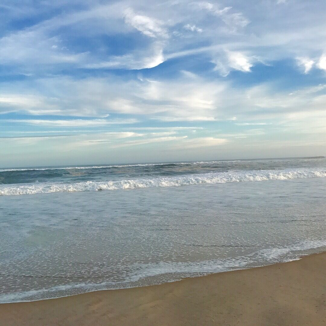 East Hampton’s very own Main Beach. Our  best kept secret is the  Hamptons are Most Beautiful off season.  You can enjoy miles and miles  of Long Islands Coast all to  yourself ....oh and your Dog.... we are pet friendly!!!!
