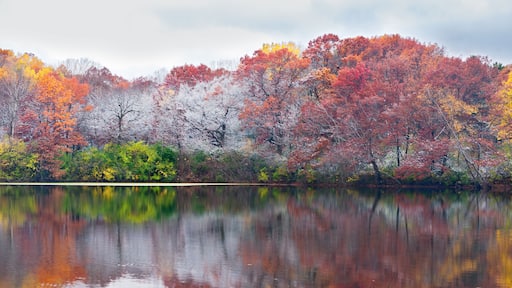 ローズマウント