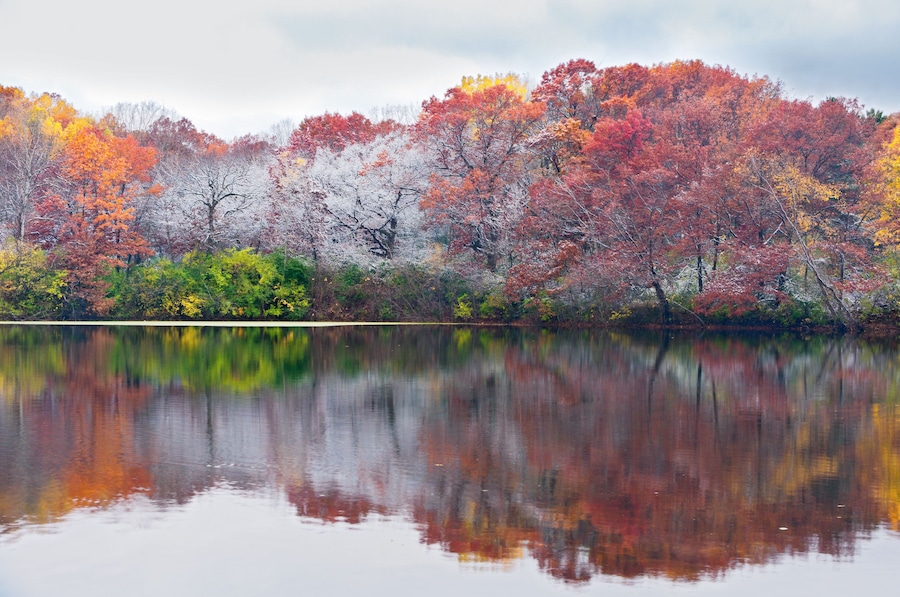 Frosty Autumn Trees and Reflections at Marthaler