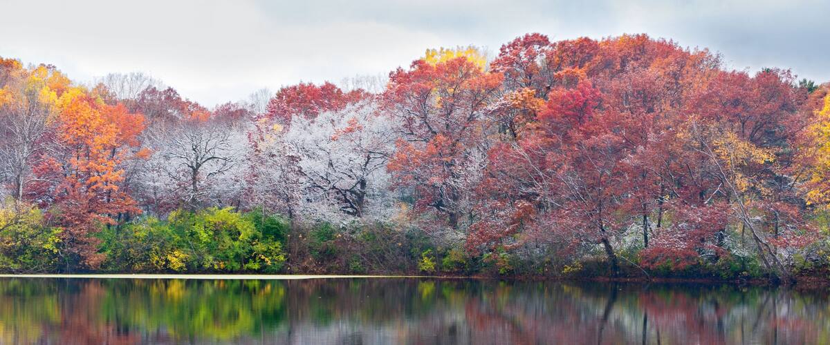 A calm lake reflecting colorful autumn trees.