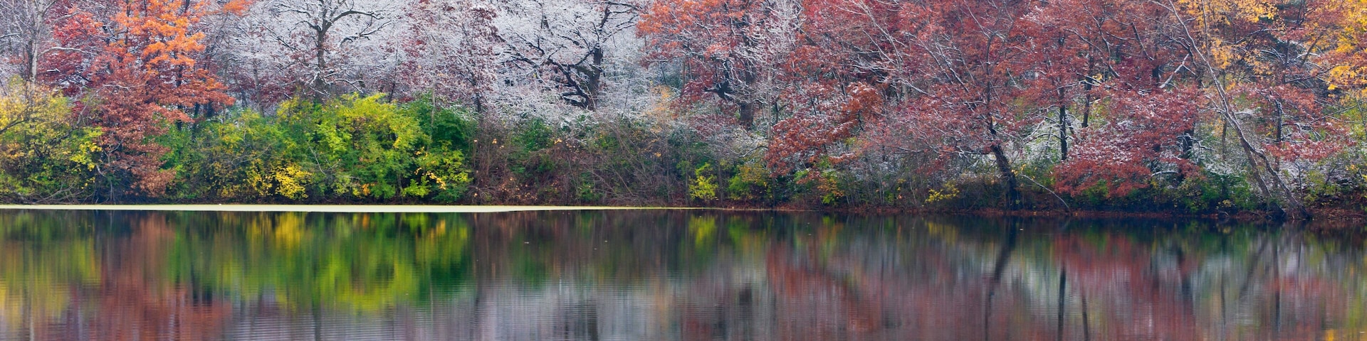 Frosty Autumn Trees and Reflections at Marthaler
