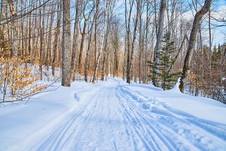 Hiking trail in winter over snow in forest