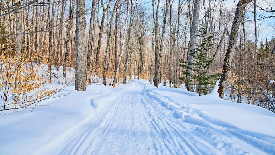 A snow-covered path through a forest with bare trees and a clear sky.
