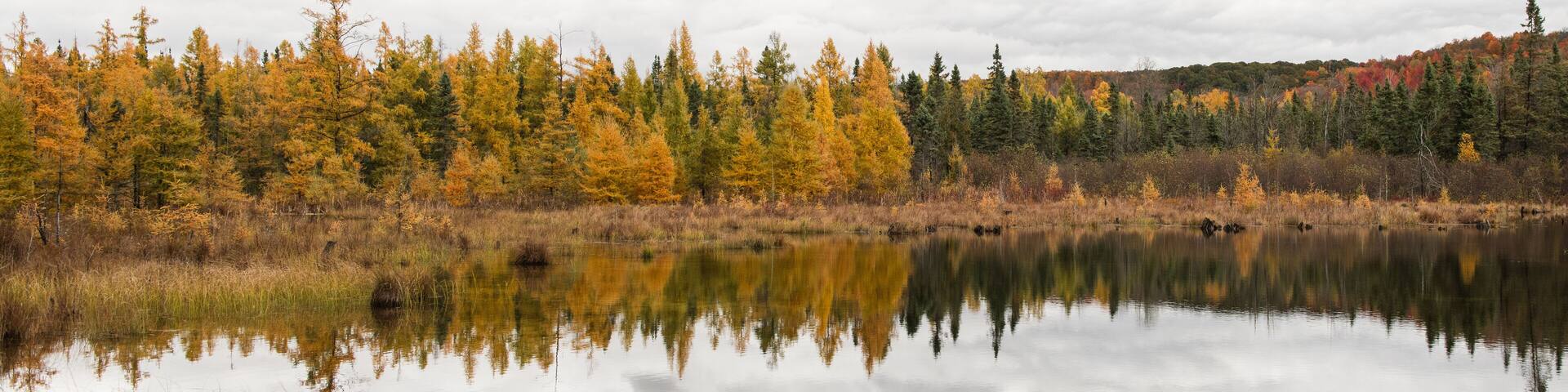 Wild Lake in Autumn's Peak Colors
