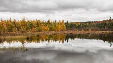 Wild Lake in Autumn's Peak Colors
