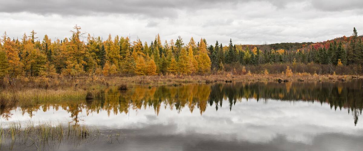 A calm lake reflecting trees with autumn foliage, surrounded by a forest.