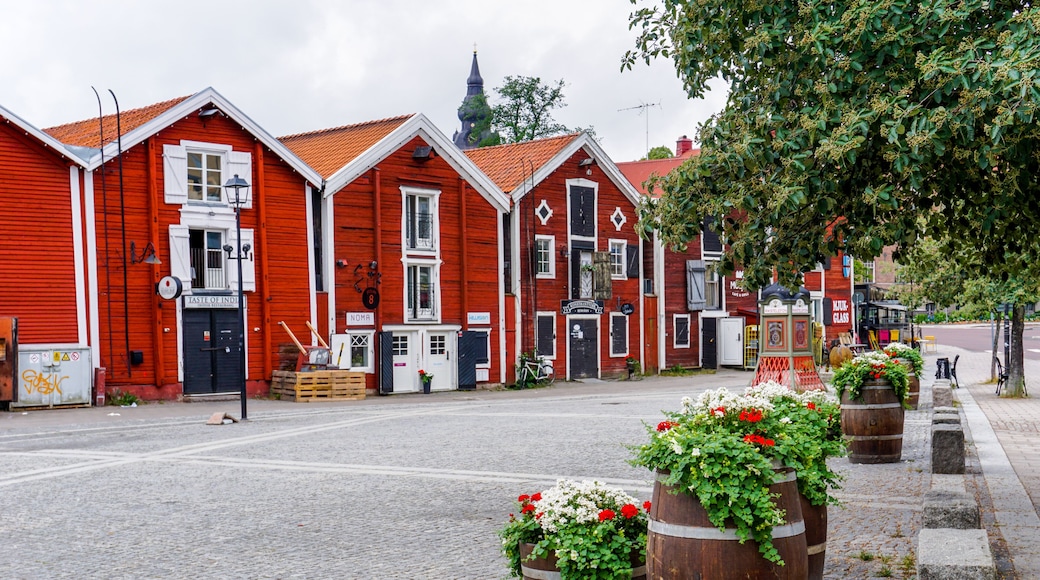 colorful wooden buildings line the canal in downtown Hudiskvall