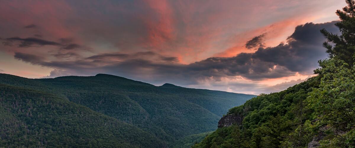 A mountainous landscape with dense forests and a rocky cliff.