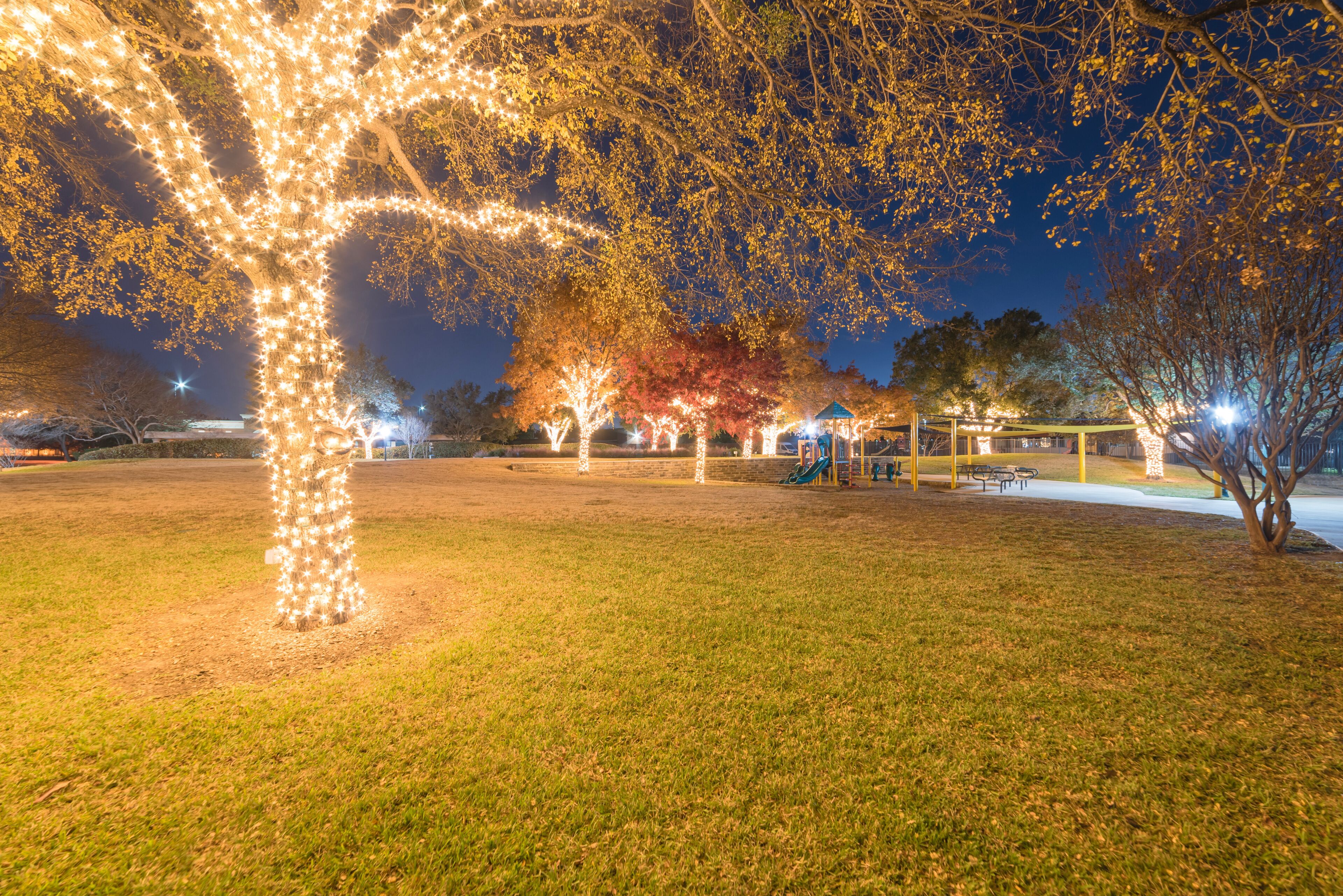 Holiday lightings at public park with playground near Dallas, Texas, USA. Christmas and New Year celebration. Beautiful Xmas decoration illumined string led on colorful fall foliage trees background