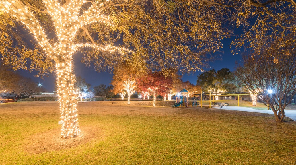 Holiday lightings at public park with playground near Dallas, Texas, USA. Christmas and New Year celebration. Beautiful Xmas decoration illumined string led on colorful fall foliage trees background