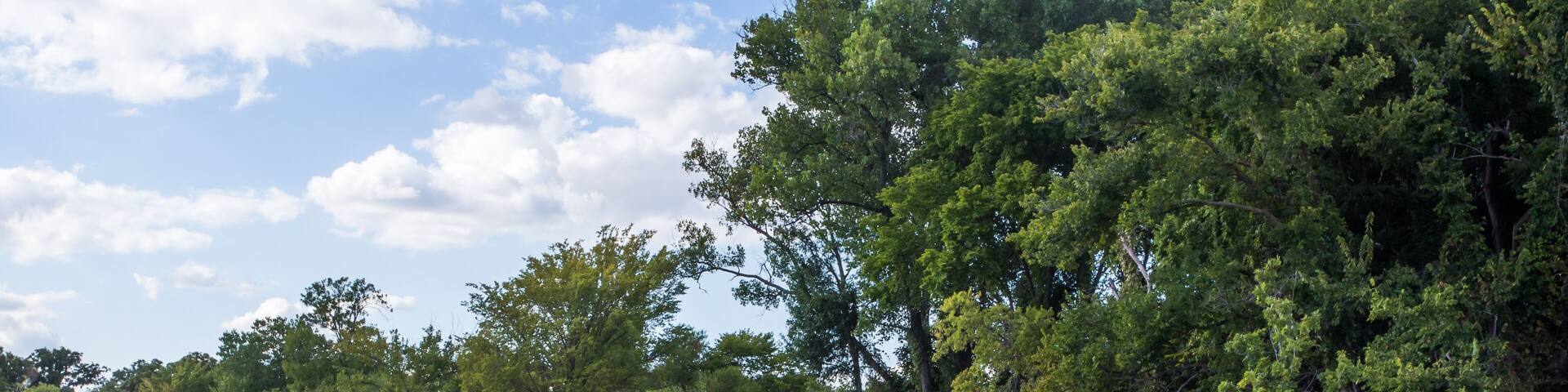 Lake Ray Hubbard embankment in Texas, USA