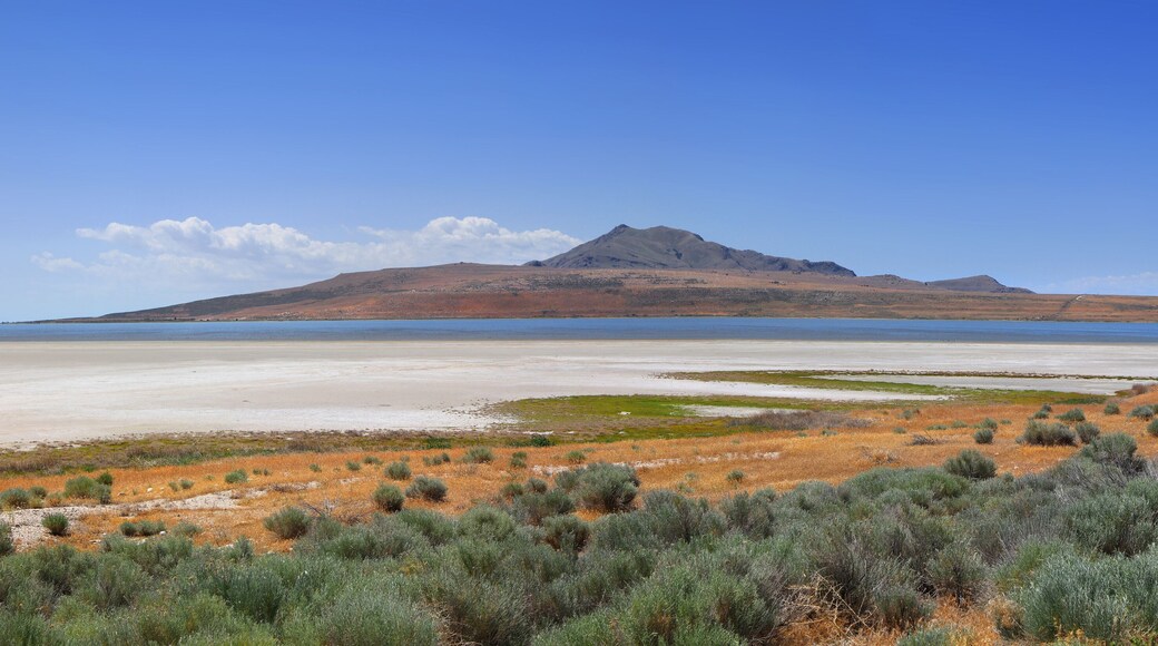 Antelope Island State Park in Utah