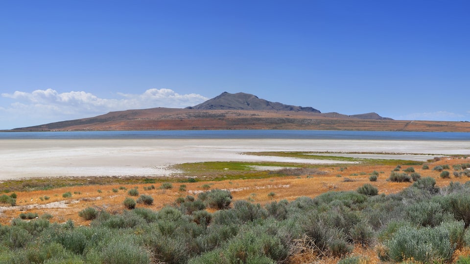 Antelope Island State Park in Utah