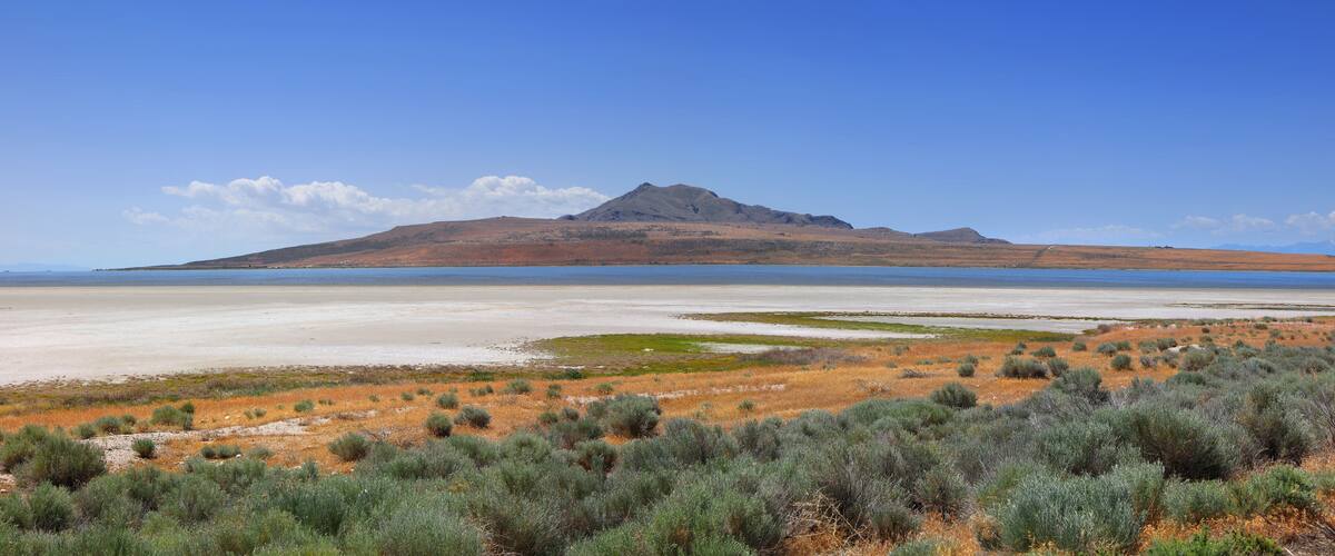 A coastal landscape with a prominent mountain, salt flats, and sparse vegetation.