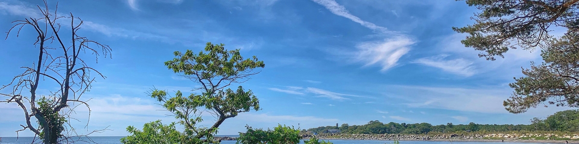 Blue, green, brown + yellow = nature
Beautiful and is peaceful
#sea #nature #flower