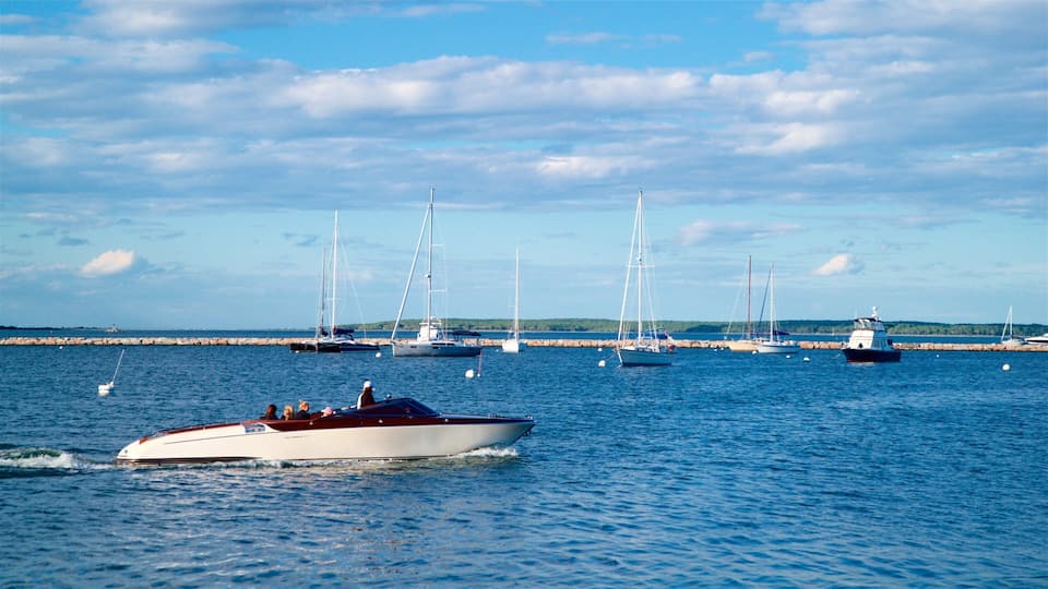 A marina with several sailboats and a speedboat.