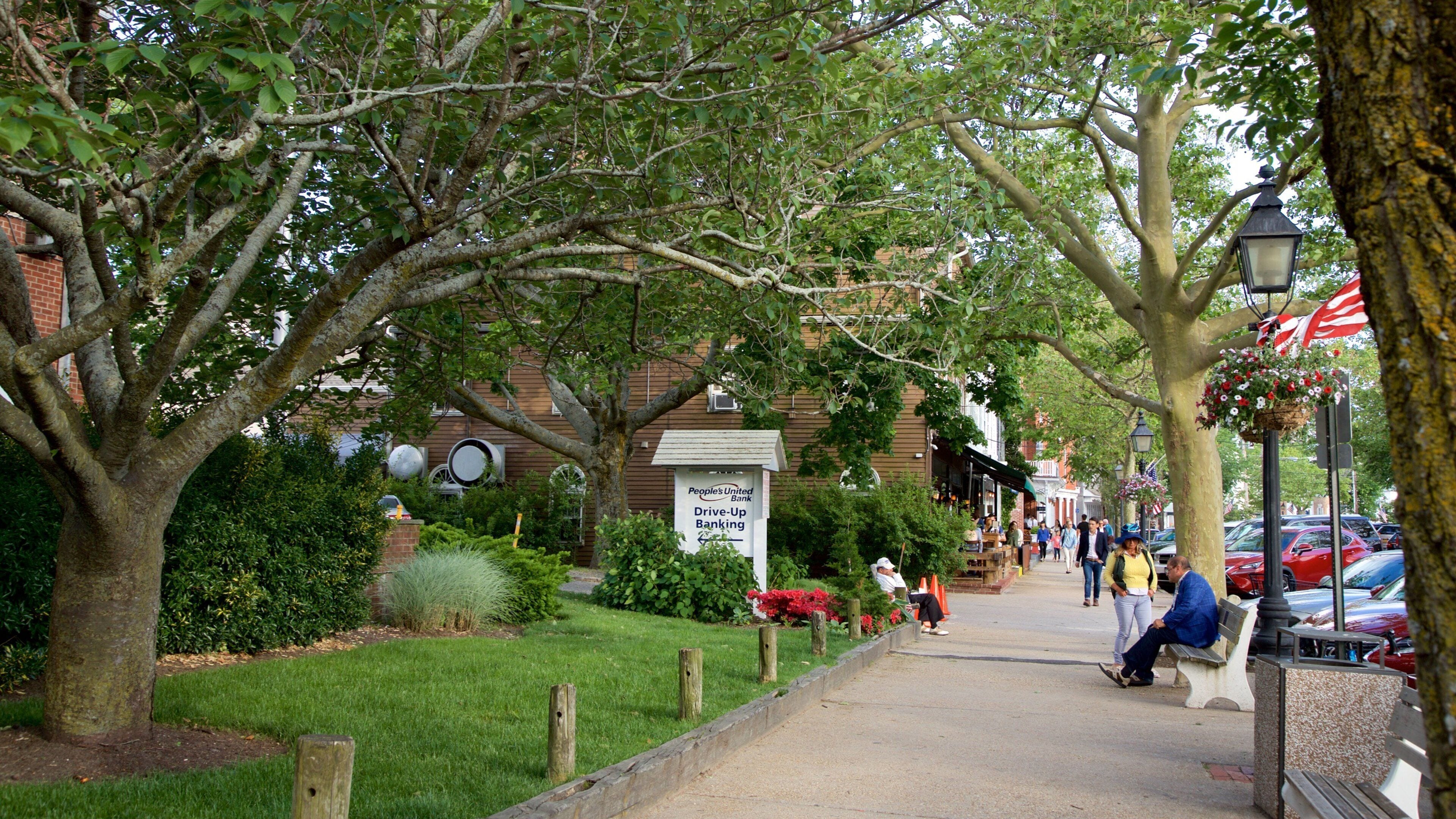 Sag Harbor showing a small town or village and street scenes as well as a small group of people