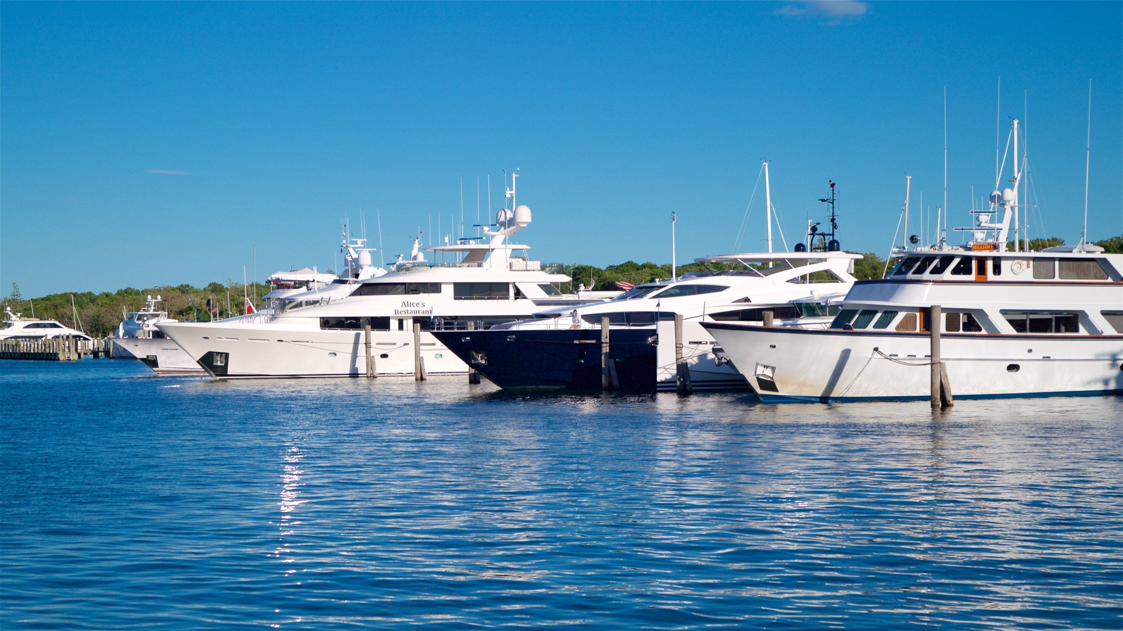 A marina with several yachts docked.