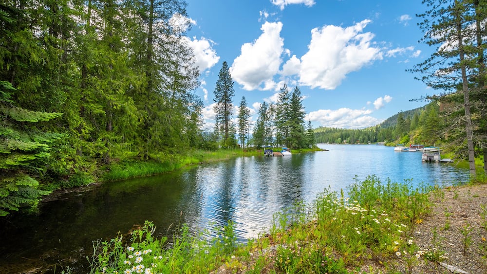 A scenic section near Bottle Bay on Lake Pend Oreille near Sagle and Sandpoint Idaho, with boats moored along the banks of the inlet
