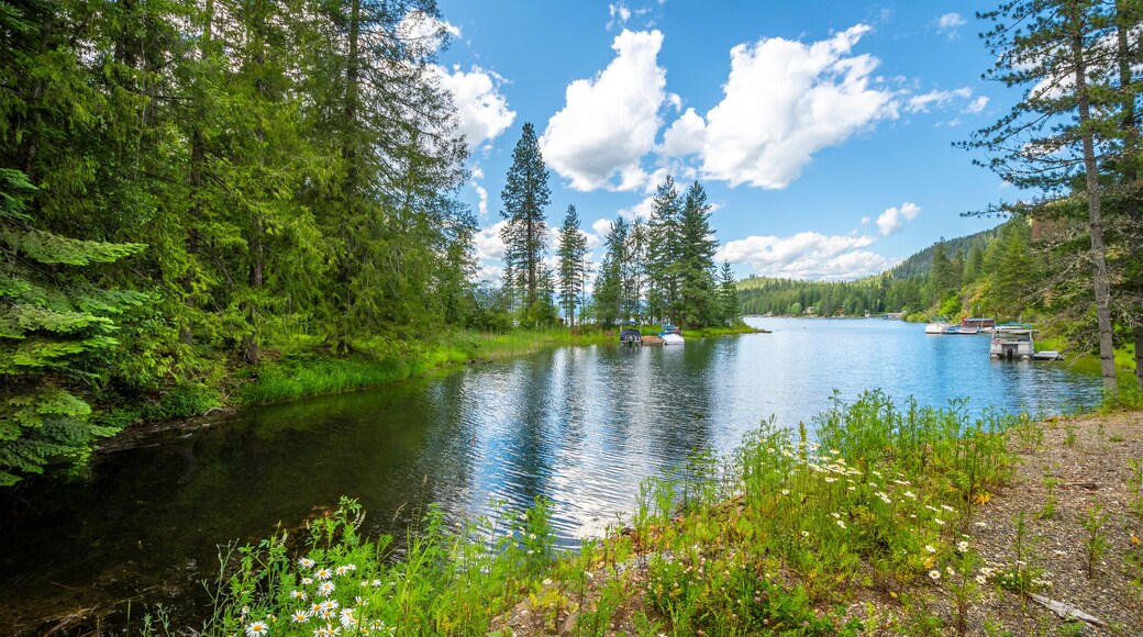 A scenic section near Bottle Bay on Lake Pend Oreille near Sagle and Sandpoint Idaho, with boats moored along the banks of the inlet