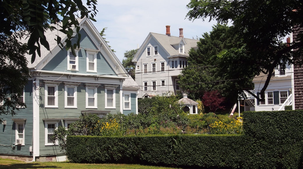 A row of historic houses with gabled roofs and white trim, surrounded by lush greenery and a well-maintained hedge.