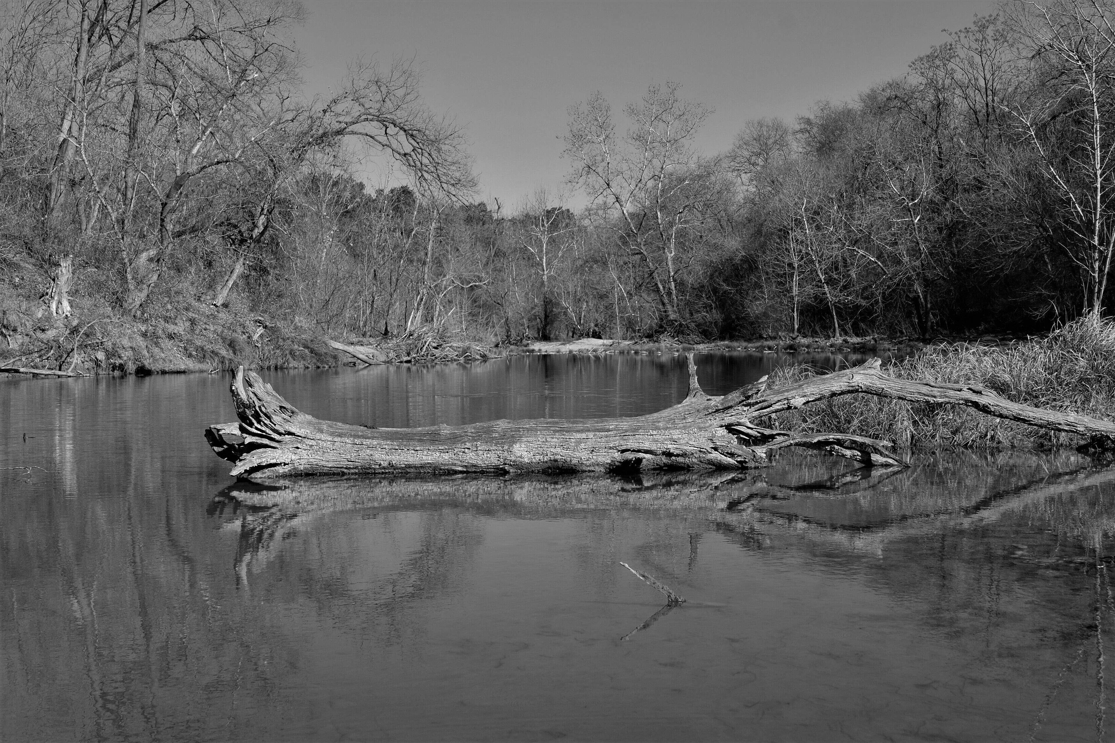 There are many trails to choose from in this small park. Although not difficult, and small, it is a beautiful hike.