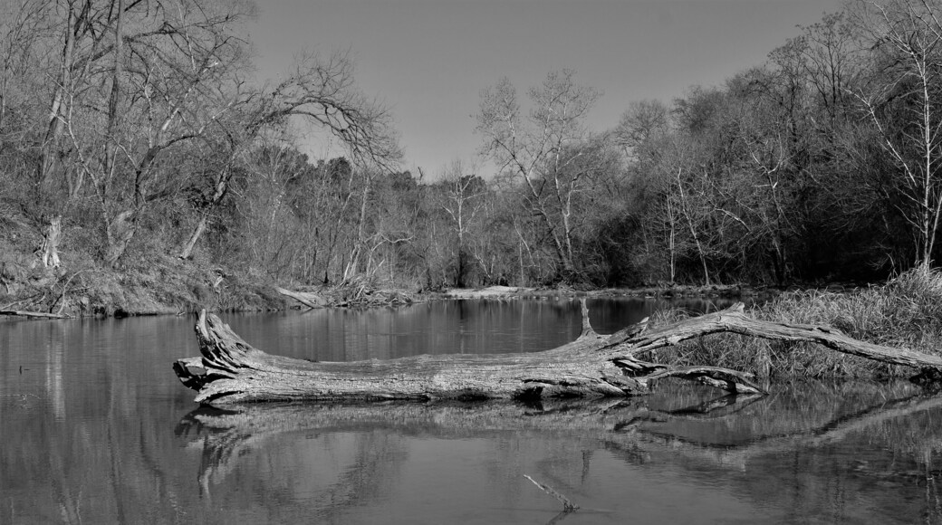 There are many trails to choose from in this small park. Although not difficult, and small, it is a beautiful hike.