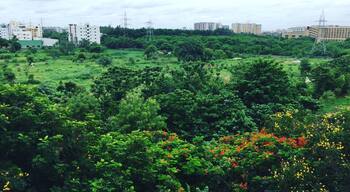 #LifeAtExpedia
Just a view from my Home in Hyderabad.
#Novotel Hyderabad in the background
