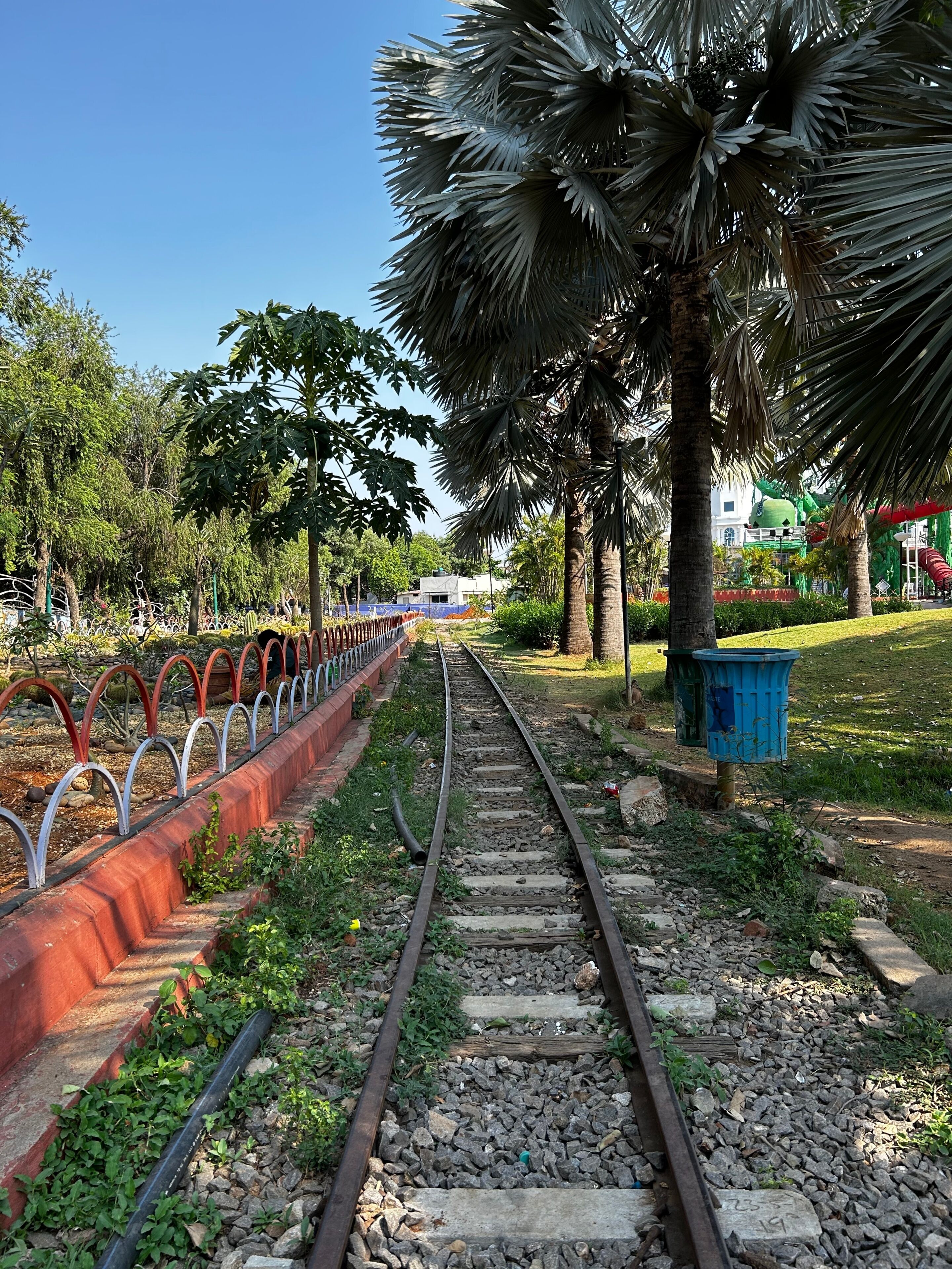 Vías de tren con un bordillo rojo, palmeras y un bote de basura azul.
