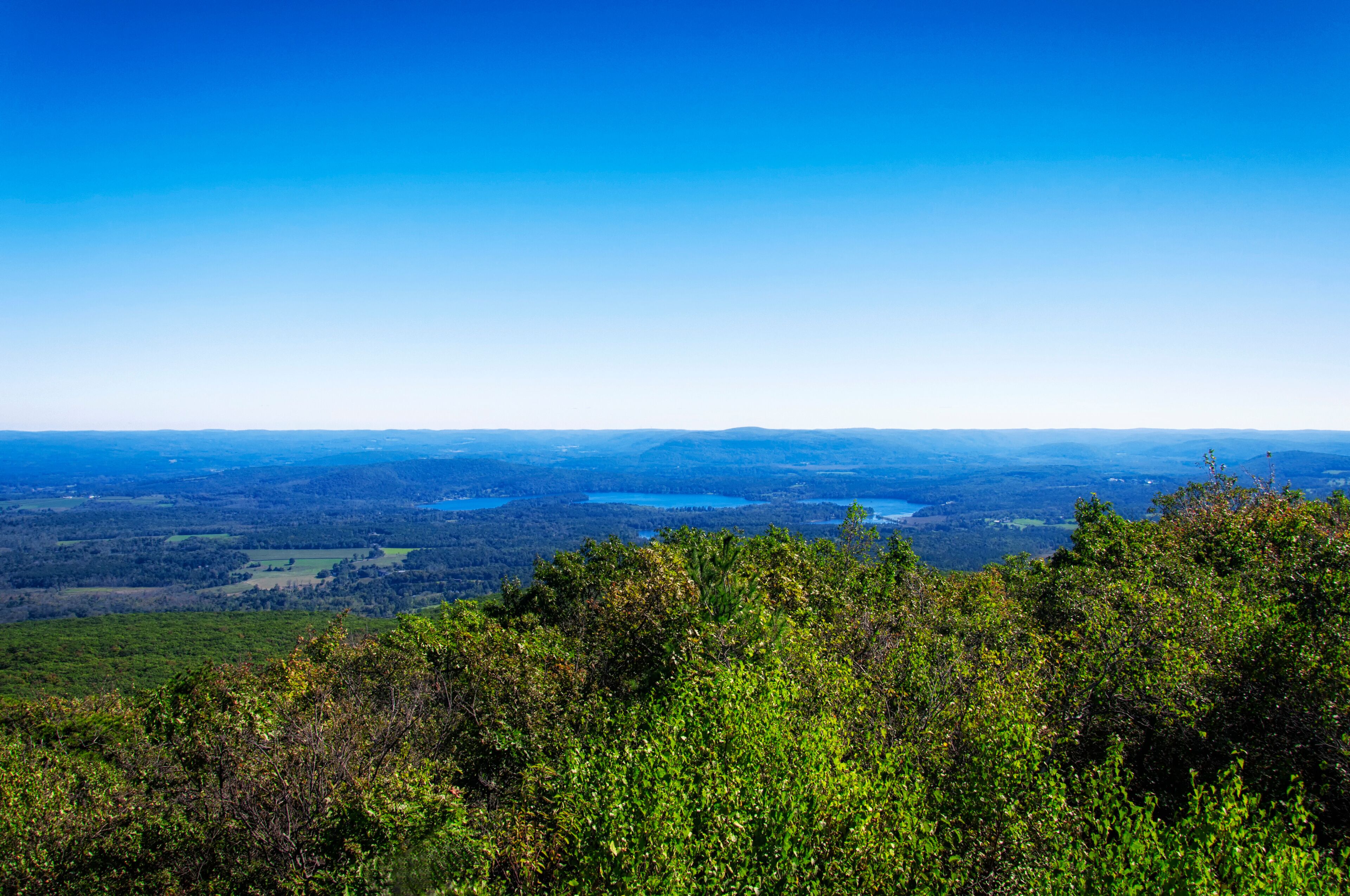 A mountainous landscape with dense green foliage in the foreground and a vast view of rolling hills and lakes in the distance under a clear blue sky.