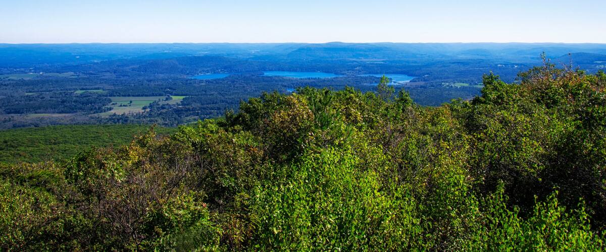 A mountainous landscape with dense green foliage in the foreground and a vast view of rolling hills and lakes in the distance under a clear blue sky.
