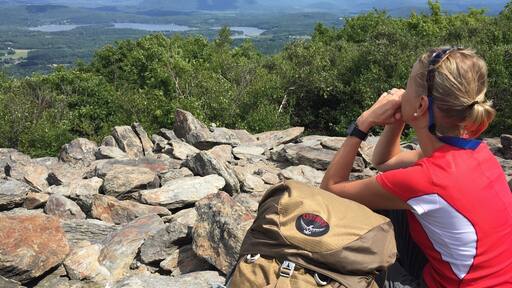 Lots of great views on CT/MA Appalachian Trail section.