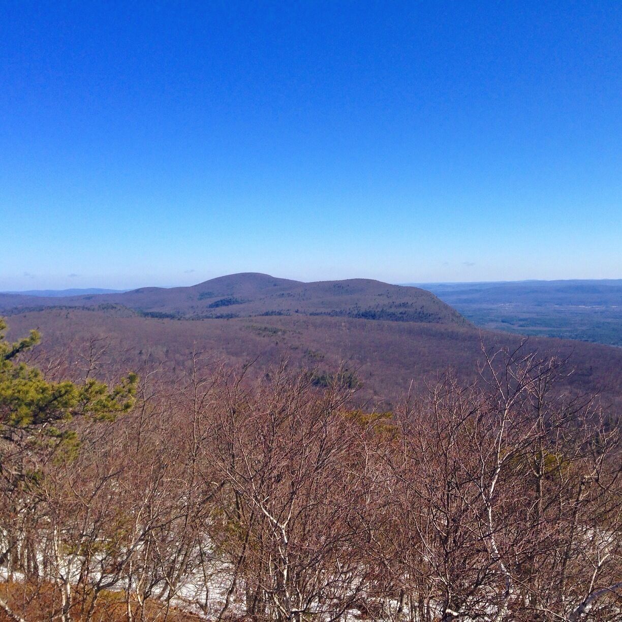 View from the Bear Mountain summit. If you start from the parking area off Rt 41, it's not a long or difficult hike to get this view.