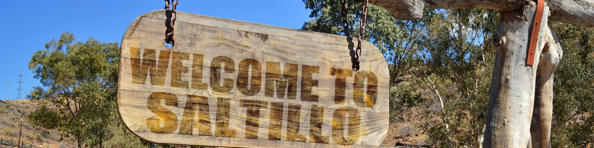 vintage wood signboard with text " welcome to Saltillo" hanging on a branch